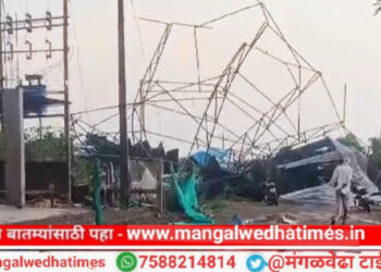भयानक वादळ! मंगळवेढ्याच्या ग्रामीण भागात वादळाचा तडाखा, अनेक कुटूंब रस्त्यावर, 150 घरांचे पत्रे उडाली; झाड पडून गाईचा मृत्यू