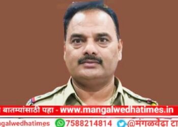 पोलीस निरीक्षक महेश ढवाण यांनी स्विकारला मंगळवेढा पोलीस ठाण्याचा पदभार; ‘हे’ प्रश्न सोडवणे त्यांच्या समोर असणार आवाहन