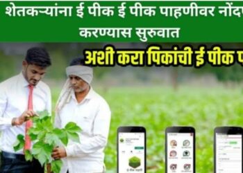 महसूल पंधरवडा अंतर्गत आज मारापूर येथे ‘महसूल ई प्रणाली’ या ऑनलाइन प्रक्रिये बाबत मार्गदर्शन कार्यक्रम; शेतकऱ्यांना दैनंदिन जीवनाशी निगडित सर्व विषयाचे मार्गदर्शन लाभणार