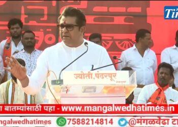 दिलीप धोत्रे यांना विजयी करा या मतदारसंघात एकही तरुण बेरोजगार राहणार नाही, शेतकरी व महिलांसाठी मोठा प्रकल्प उभारू; राज ठाकरे यांचे जनतेला आश्वासन