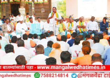 मतदारसंघातील गावांसाठी केलेल्या विविध विकास कामांच्या जोरावर जनता माझ्या पाठिशी; विकास क्रांतीच्या मोठ्या पर्वासाठी आणखी एक संधी द्या; आ.आवताडेंचे गावकऱ्यांना आवाहन