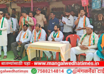 अनिल सावंत यांना आमदार करून विधानसभेत पाठवा, मंगळवेढा तालुक्यातील दुष्काळी भागाचे नंदनवन करून शेतीला पाणी मिळवून देणार; खा.धैर्यशील मोहिते पाटील यांनी दिला शेतकऱ्यांना शब्द