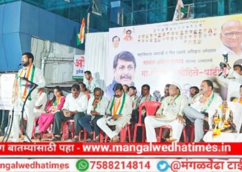 तरुणांच्या हाताला काम, शेतकऱ्यांना सुजलाम सुफलाम केल्याशिवाय शांत बसणार नाही; विकास काय असतो तो करूनच दाखवणार; अनिल सावंत यांनी व्यक्त केला विश्वास