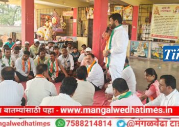 मंगळवेढा तालुक्यातील ग्रामीण भागातील रस्ते, पाणी प्रश्न आमदार होताच मार्गी लावणार; अनिल सावंत यांनी दिला मोठा शब्द