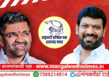 महाविकास आघाडीचे अधिकृत उमेदवार अनिल सावंत यांच्या प्रचारासाठी खासदार निलेश लंके यांच्या सभांचा धडाका