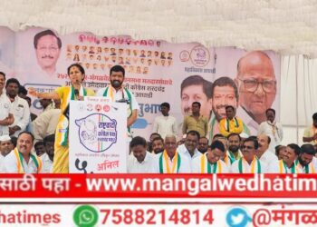 लोकसभेला जसा दणका दिला त्याप्रमाणे विधानसभेला दणका देऊन अनिल सावंत यांना निवडुन द्या; पाण्याचा व शेतीचा प्रश्न स्वतः लक्ष घालून मार्गी लावणार; सुप्रिया सुळेंचा जनतेला शब्द