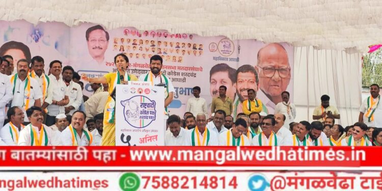 लोकसभेला जसा दणका दिला त्याप्रमाणे विधानसभेला दणका देऊन अनिल सावंत यांना निवडुन द्या; पाण्याचा व शेतीचा प्रश्न स्वतः लक्ष घालून मार्गी लावणार; सुप्रिया सुळेंचा जनतेला शब्द