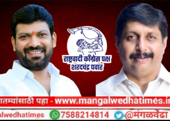 अनिल सावंत यांच्या प्रचाराचा नारळ आज माचनूर येथे फुटणार, विजयाचं रणशिंग फुंकलं जाणार; खा.धैर्यशील मोहिते-पाटील यांच्या हस्ते होणार शुभारंभ