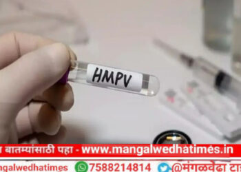 चिंताजनक! HMPV व्हायरसची महाराष्ट्रात एन्ट्री; ‘या’ जिल्ह्यात आढळले 2 रुग्ण