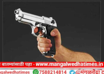 मोठी बातमी! तीन गावठी पिस्टल, जिवंत काडतुस बाळगले प्रकरणी मंगळवेढ्यातून तिघांना अटक; स्थानिक गुन्हे शाखेची धडाकेबाज कारवाई