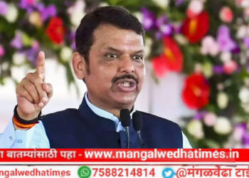 मुख्यमंत्र्यांची मोठी घोषणा! लाडका शेतकरी योजना जाहीर; प्रत्येक शेतकऱ्याला मिळणार ”इतकी” हजार रक्कम