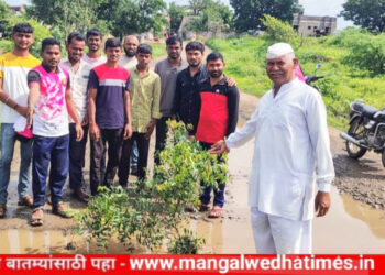 लोकप्रतिनिधी व प्रशासनाच्या उदासीनतेमुळे मंगळवेढ्यात रस्त्यावर ठिकठिकाणी भले मोठे खड्डे; लोकराजा राजर्षी शाहू महाराज फाउंडेशनने जाहीर निषेध करत खड्ड्यामध्ये लावली झाडे