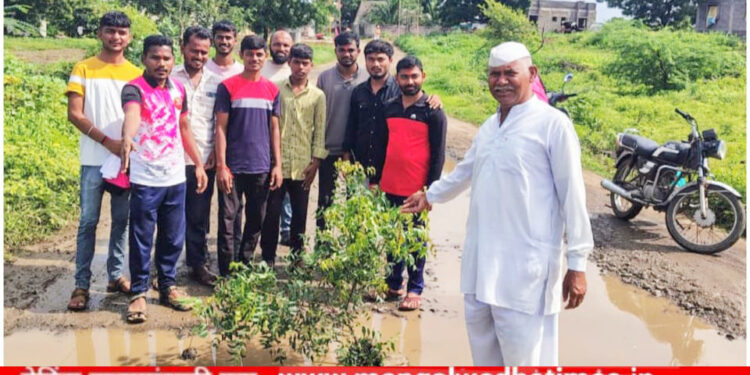 लोकप्रतिनिधी व प्रशासनाच्या उदासीनतेमुळे मंगळवेढ्यात रस्त्यावर ठिकठिकाणी भले मोठे खड्डे; लोकराजा राजर्षी शाहू महाराज फाउंडेशनने जाहीर निषेध करत खड्ड्यामध्ये लावली झाडे