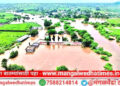 हाहाकार! मंगळवेढ्यात पाऊस आला पण संकट घेऊन आला, उभ्या पिकांमध्ये पूर; अनेक गावांचा संपर्क तुटला; कुठे काय परिस्थिती? विनाकारण धाडस करू नये केले आवाहन