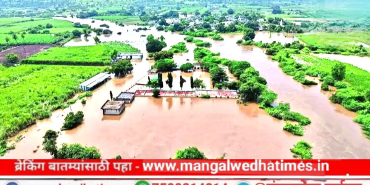 हाहाकार! मंगळवेढ्यात पाऊस आला पण संकट घेऊन आला, उभ्या पिकांमध्ये पूर; अनेक गावांचा संपर्क तुटला; कुठे काय परिस्थिती? विनाकारण धाडस करू नये केले आवाहन