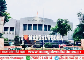 राजकीय घडामोड! मंगळवेढा नगरपालिका नगराध्यक्ष पदासाठी भाजपकडून ‘या’ नावाची चर्चा; राष्ट्रवादी स्वबळावर लढणार?