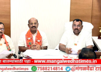 मोठी बातमी! नगराध्यक्ष पदासाठी भाजपकडून ‘या’ तीन जणांनी केली उमेदवारीची मागणी; मुलाखतीसाठी हजर असणाऱ्यांनाच मिळणार तिकिट