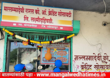मल्लम्मादेवी रुरल को.ऑ.क्रेडिट बँकेचा आज दुसरा वर्धापनदिन; लक्ष्मी दहिवडीत बँकेची 6 वर्षात दाम दुप्पट योजना झाली लोकप्रिय
