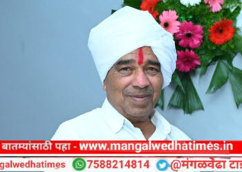 मातीशी नाते, मनात माणुसकी : कष्टातून उभे राहिलेले सहकाराचे साम्राज्य; सहकारातून महाराष्ट्र–कर्नाटकात विश्वासाचे साम्राज्य उभारणारे; महादेव बिराजदार गुरुजी