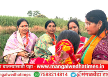 लक्ष्मी दहिवडी जिल्हा परिषद गट व पंचायत समिती गणातील भाजपा उमेदवारांच्या प्रचाराला जनतेचा उत्स्फूर्त प्रतिसाद; विकासाच्या वाटा वेगवान करण्यासाठी साथ द्या; करुणा शिवशरण