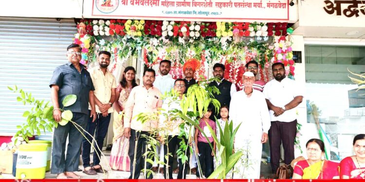 वृक्षारोपणाने गुंफले सामाजिक उत्तरदायित्व! श्री वैभवलक्ष्मी महिला पतसंस्थेचा ३रा वर्धापनदिन दिमाखात साजरा