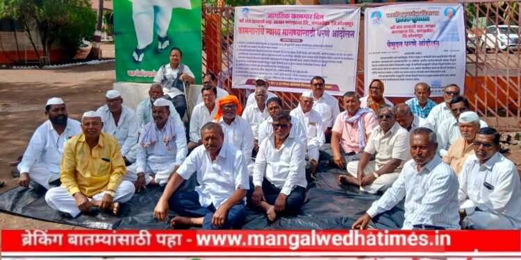 हक्काच्या पैशांसाठी वृद्धांची फरफट! ३ दिवस उलटले तरी चेअरमन-संचालक गायब; दामाजी कारखान्याला ‘गेट बंद’चा थेट इशारा; मंगळवेढ्यात संतापाचा भडका